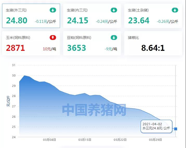 04月02日猪价：全国猪价近八成地区飘绿，清明节前最后的挣扎？