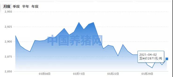 玉米小幅上涨，后期价格要跌？