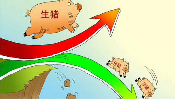 清明已至，猪价“不涨反跌”，强抑行情探底或因它更猛烈