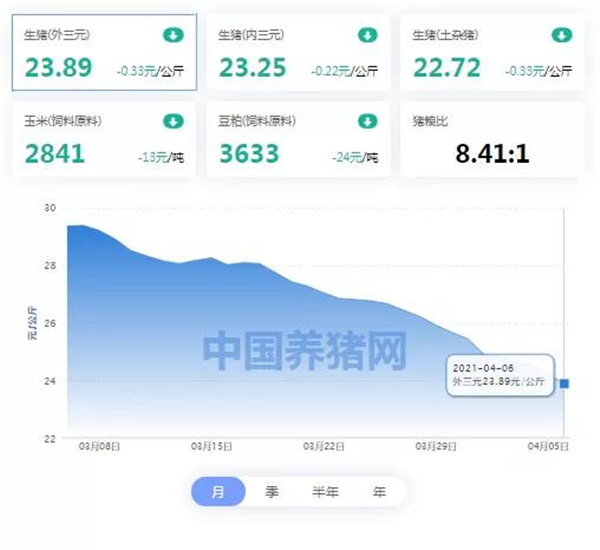 04月06日猪价：逢节必跌？猪价继续下滑，反弹之日遥遥无期？