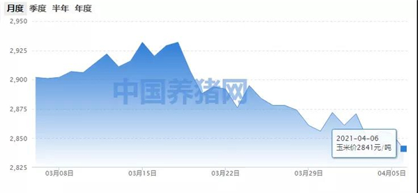 价格断崖式下跌！玉米价格还需时间来消化？