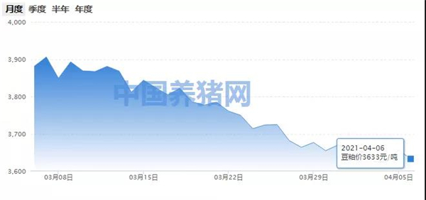 整体行情震荡反复，豆粕价格进入回调阶段！