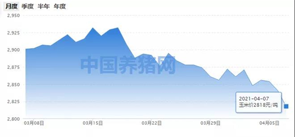 玉米价格呈现区域化特点，市场行情迎来利好！