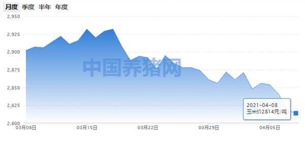 玉米市场需求增强，中下旬或迎来反弹之势