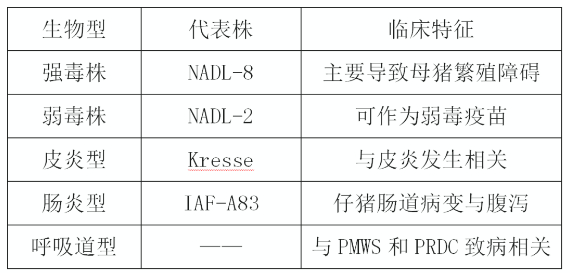 猪细小病毒病流行新特点与综合防控要点