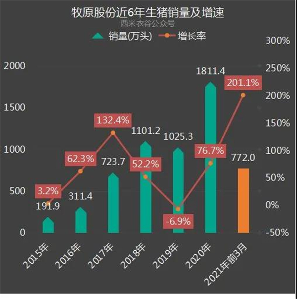 牧原股份1季度数据出炉！商品猪销772万头，同增306%，繁母猪存栏为284.6万头