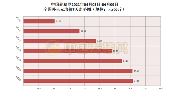 猪价暴跌0.81元！仅有1地坚挺！猪价何时能够反弹？