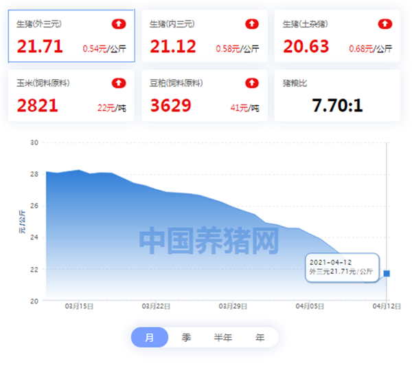 4月12日猪价：多达20地上涨飘红！养殖户悬着的心终于可以放下了