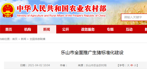 中小养殖户步入现代化！四川乐山全面推生猪标准化建设！