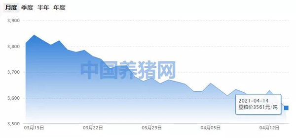 下跌趋势难止！猪价涨了，为何豆粕行情却依旧低迷