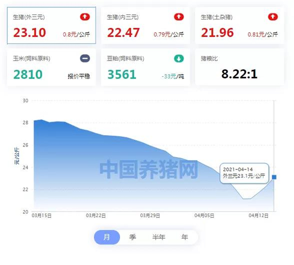 04月14日猪价：“火箭式”上涨！天价猪肉又将席卷而来？