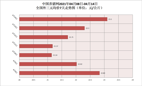 发起反攻！猪价连日大涨1.96元，2个坏消息，警惕猪价回调！