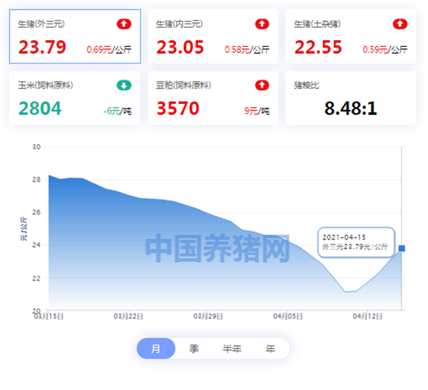 04月15日猪价：行情利好！猪价冲击25元/公斤 养殖户笑开了花！