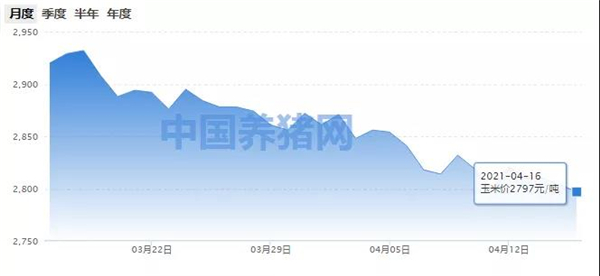 玉米作用被替代！后市价格上涨恐动力不足