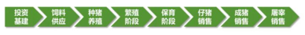 凭借数字化优势，养猪“新势力”们快速实现弯道超车