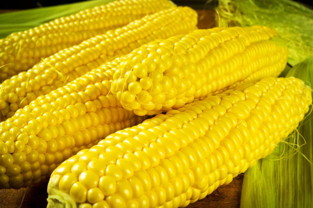 替代方案中的比例知多少？------饲料玉米豆粕减量替代技术方案