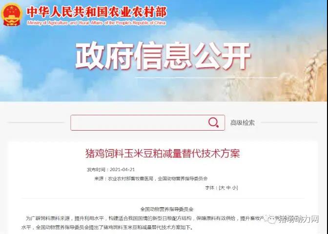 不怕玉米涨价！农业农村部-饲料玉米豆粕减量替代方案-来了！