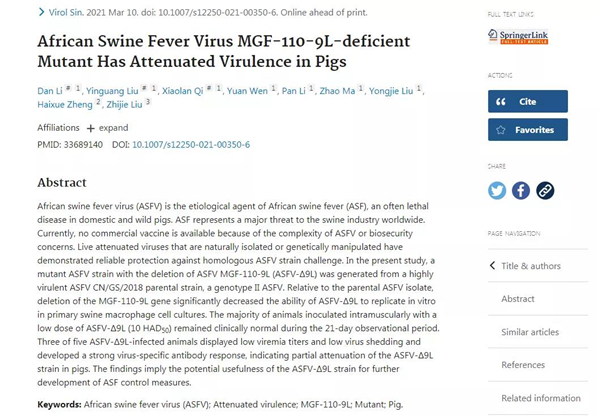 好消息！我国科学家首次发现可降低非洲猪瘟病毒致病性的重要基因
