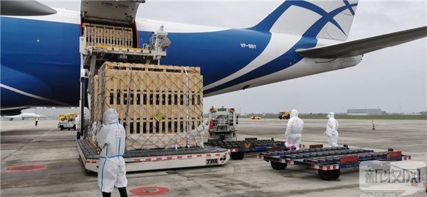 引种不断！1030头英国种猪抵达四川，1500头丹麦种猪抵达吉林