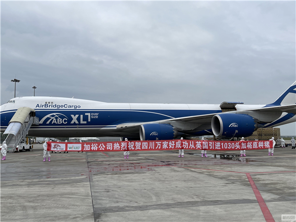 眉山首次！万家好海外引种GGP种猪1030头，助力眉山猪业复产