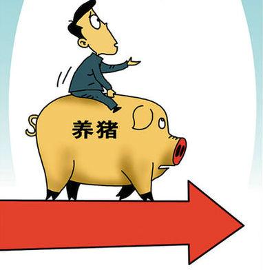 逆势上扬，南方局地猪价呈现震荡涨跌