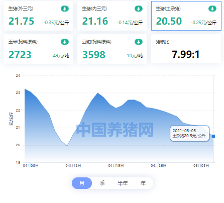 中国养猪网