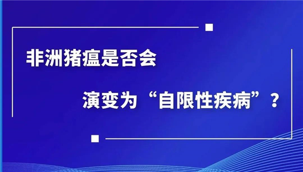 常洪涛：非洲猪瘟是否会演变为“自限性疾病”？