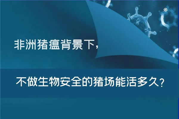 余旭平：非洲猪瘟背景下，不做生物安全的猪场能活多久？