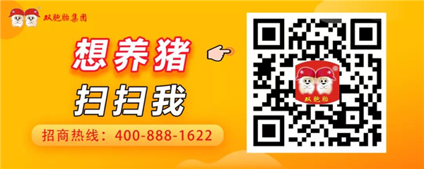 新建高效栏舍后收入翻了一倍！年投资回报率超50%！