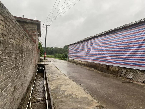 博白一养猪场离居住点仅8米！核实、整改！