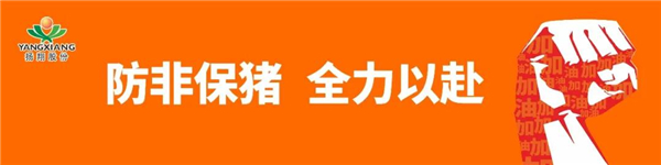 扬翔董事长莫金枝：用科技打造回报社会的能力