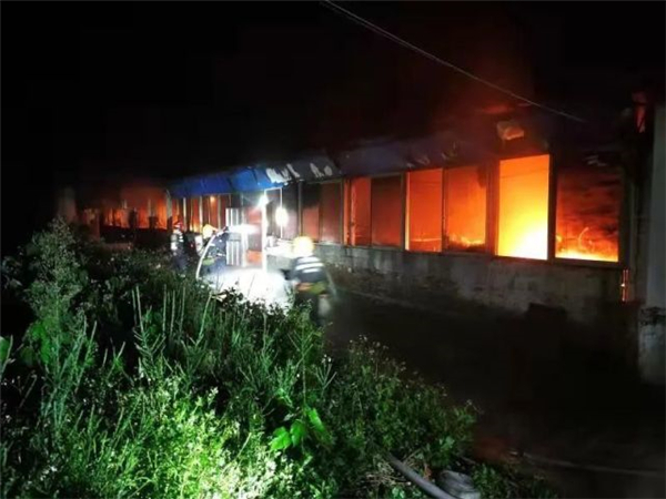 柳州这养猪场突起大火，500多头猪被火海包围！只有30多头死里逃生……