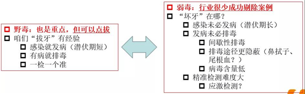 陈芳洲：当前非瘟防控重点事项