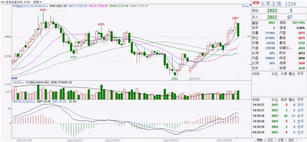 玉米：大涨大跌！