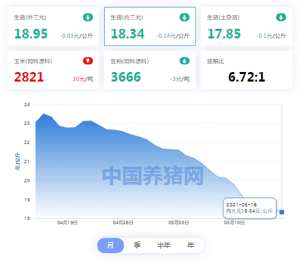 中国养猪网