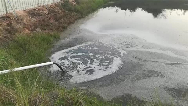 注意！环保投诉再次降临养猪业！广东惠东一养猪场被指乱排污水…