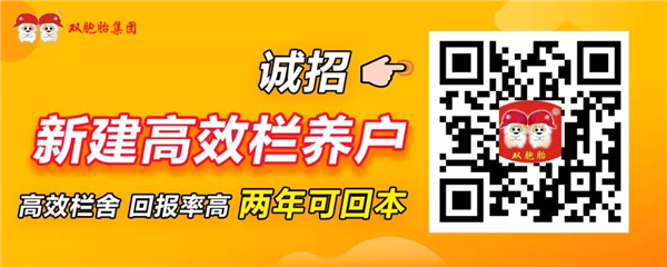 为高效栏舍代言|1600头肥猪净挣78万元