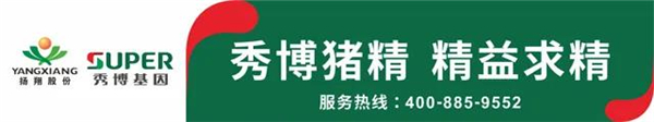 为了一袋好猪精，扬翔秀博“磨剑”20年（上）