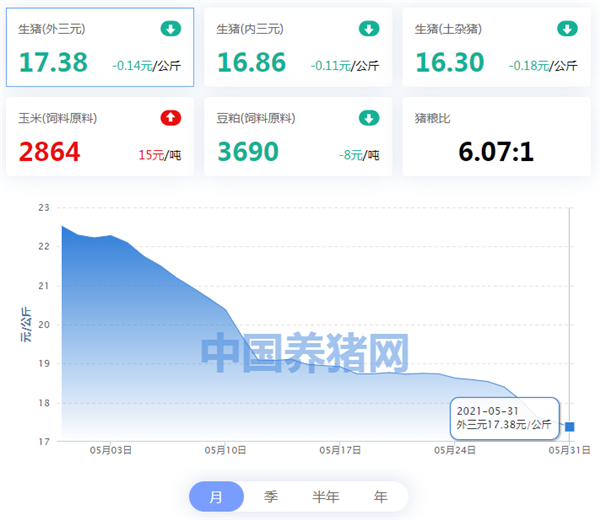 05月31日猪价：多地猪价走跌态势明显，行情低迷下，仔猪竟无人问津？