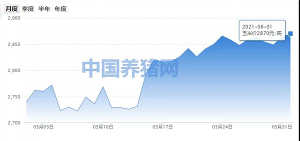 玉米行情上涨趋势明显，高位震荡!
