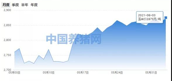 玉米价格大涨！15涨、6平、10跌