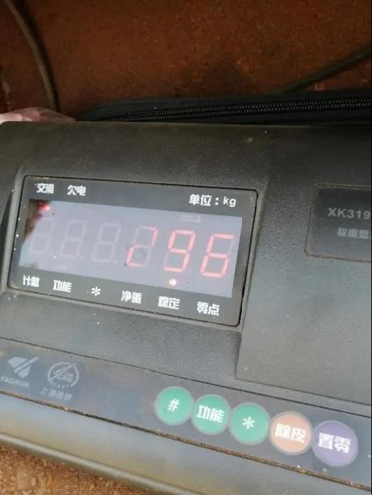 全新升级3011K，助力提升保育生产效率