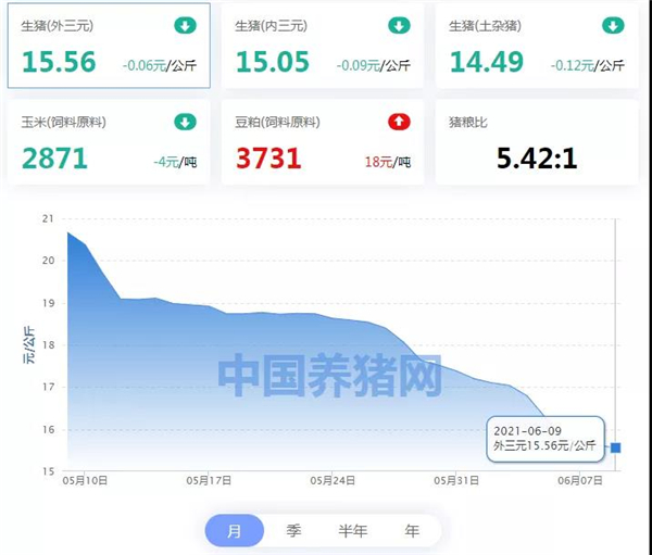 06月09日猪价：好消息！猪价出现上涨苗头，华北地区全线上涨！