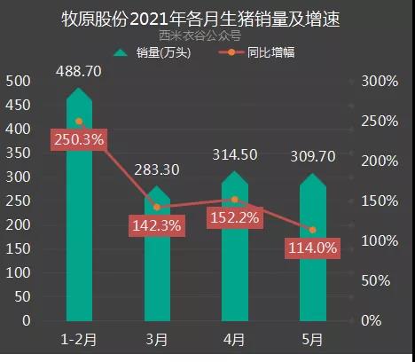 中国养猪网