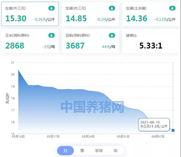 06月10日猪价：猪价坍塌，多地全线下跌，国家出手了！