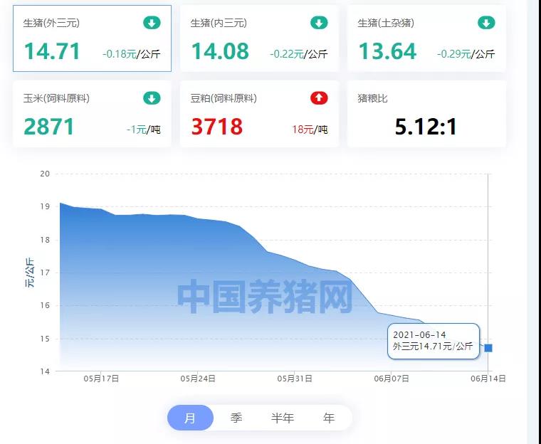 06月14日猪价：上涨之势仅持一日，今日猪价4地上涨