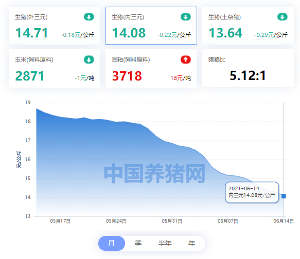 中国养猪网