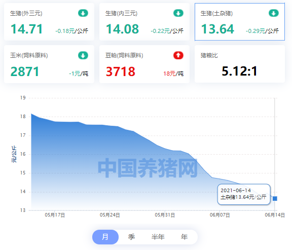 中国养猪网