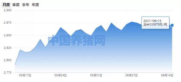 全国玉米均价为2870元/吨