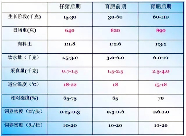 生猪各阶段的营养需求和饲养管理细节，超级全面！